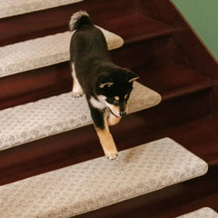 Soft Plush Indoor Stair Protectors Pet Friendly Tape Free Carpet Stair Treads Tektoty