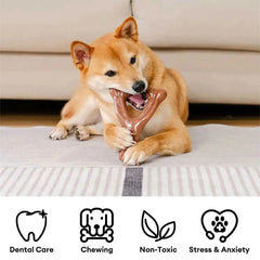 Teething Bones Dog Chew Toy - Bacon-Flavored Tektoty