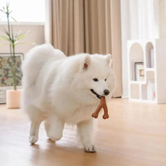 Teething Bones Dog Chew Toy - Bacon-Flavored Tektoty