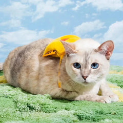 FUNNYFUZZY Schoolbag Plush Squeaky Dog Toy – BarkPack Tektoty