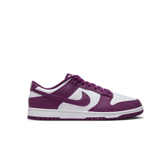 Dunk Low Viotech Tektoty