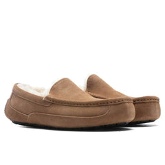 Ascot Slipper - Chestnut Tektoty