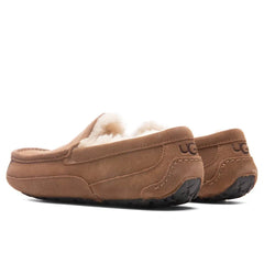 Ascot Slipper - Chestnut Tektoty