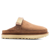 Women's Goldenstar Clog - Chestnut Tektoty