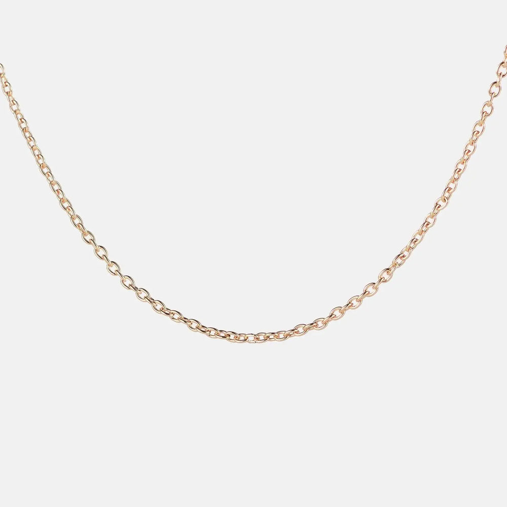 Dainty Chain Tektoty