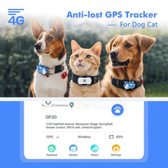 Smart Pet Tracker with App Tektoty