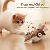 Flapping Fun Cat Toy Tektoty