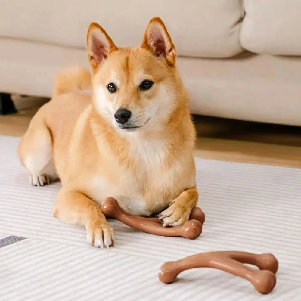 Teething Bones Dog Chew Toy - Bacon-Flavored Tektoty