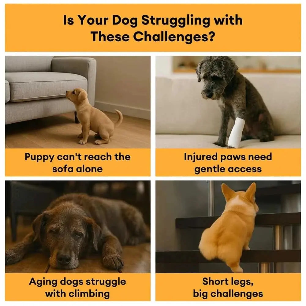 Plush Plaid High-Density Sponge Removable Pet Ramp Stairs - ComfyClimb Tektoty