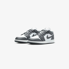 Air Jordan 1 Low (GS) Tektoty