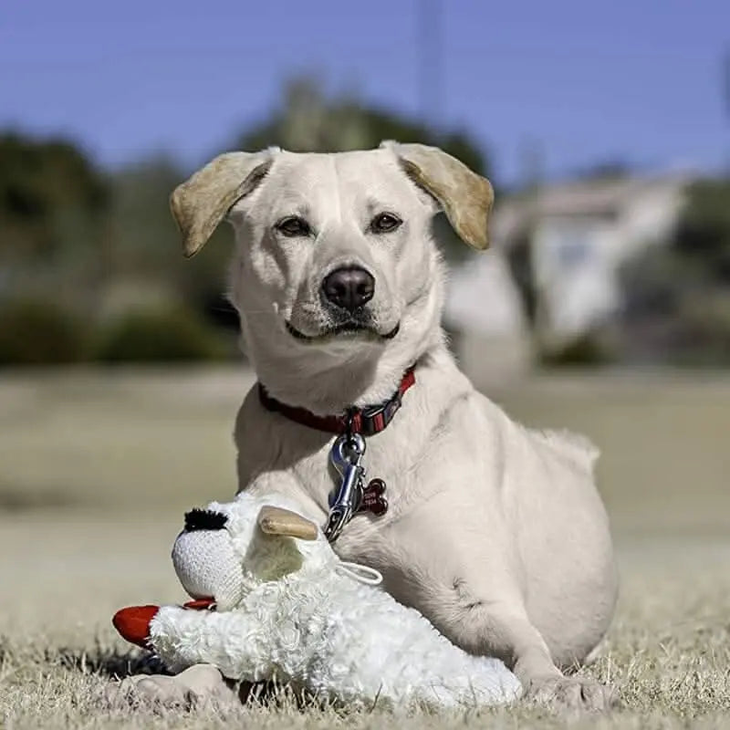 Plush Lamb Squeaker Toy Dog Interactive Toy Tektoty