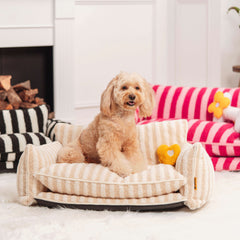 FUNNYFUZZY Heart Plush Squeaky Dog Toy