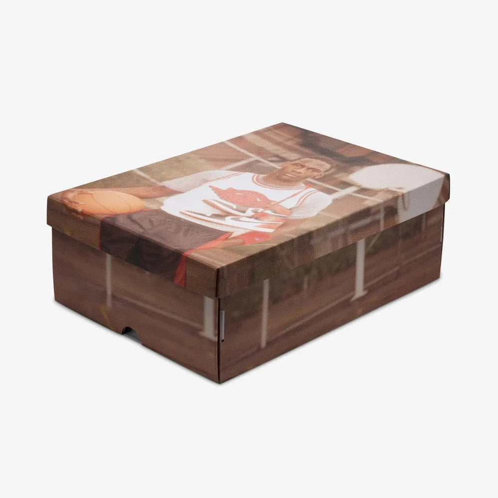 Air Jordan 1 Retro High OG Tektoty