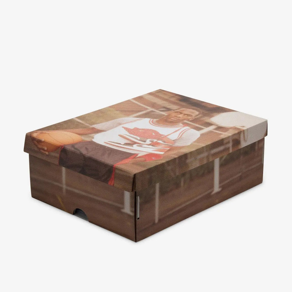 Air Jordan 1 High OG (GS) Tektoty