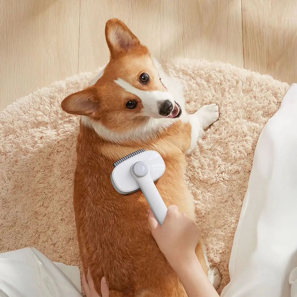 2 In 1 Self-Cleaning Dual-Head Shedding and Dematting Tool Pet Grooming Brush Tektoty