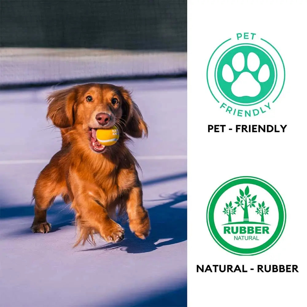 Tennis Ball Dog Toy - Squeaky & Bounce Tektoty