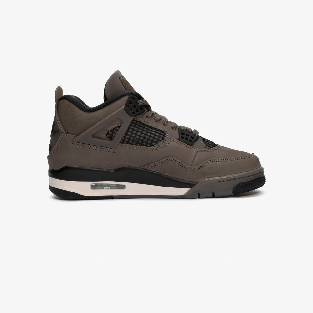 Air Jordan 4 Retro Tektoty