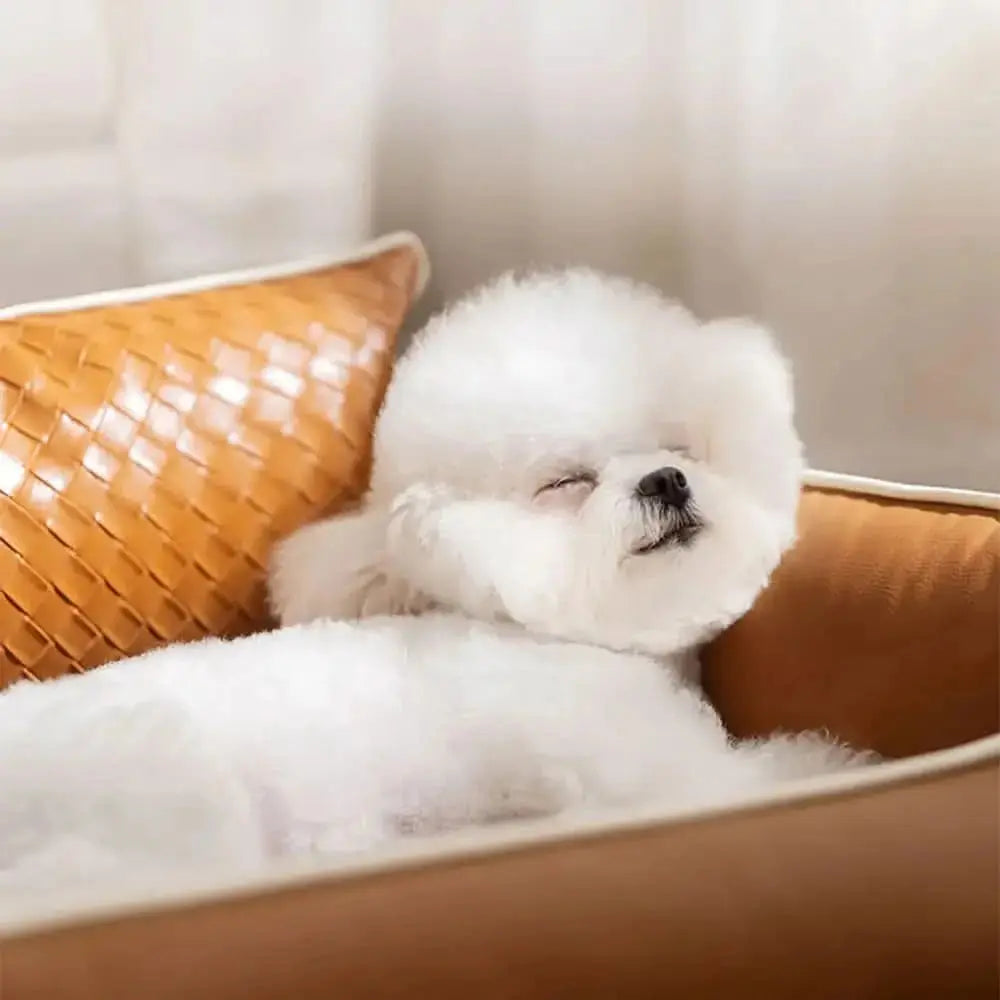 Faux Leather Waterproof Latex Protective Spine Dog Sofa Bed Tektoty