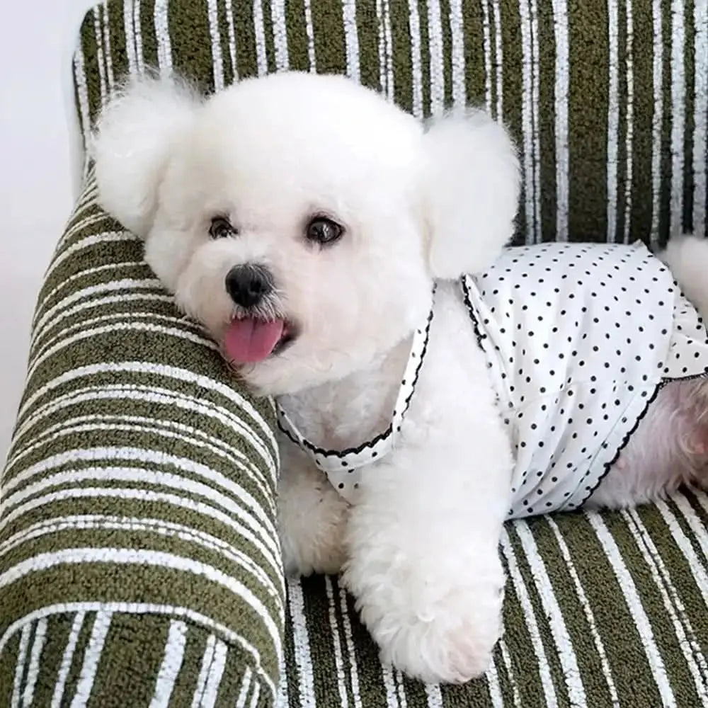 Chenille Striped Jacquard Velvet Dog Sofa Bed for Puppies Tektoty