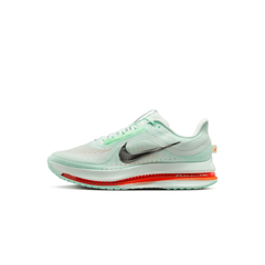 Air Zoom Pegasus Premium Barely Green Tektoty