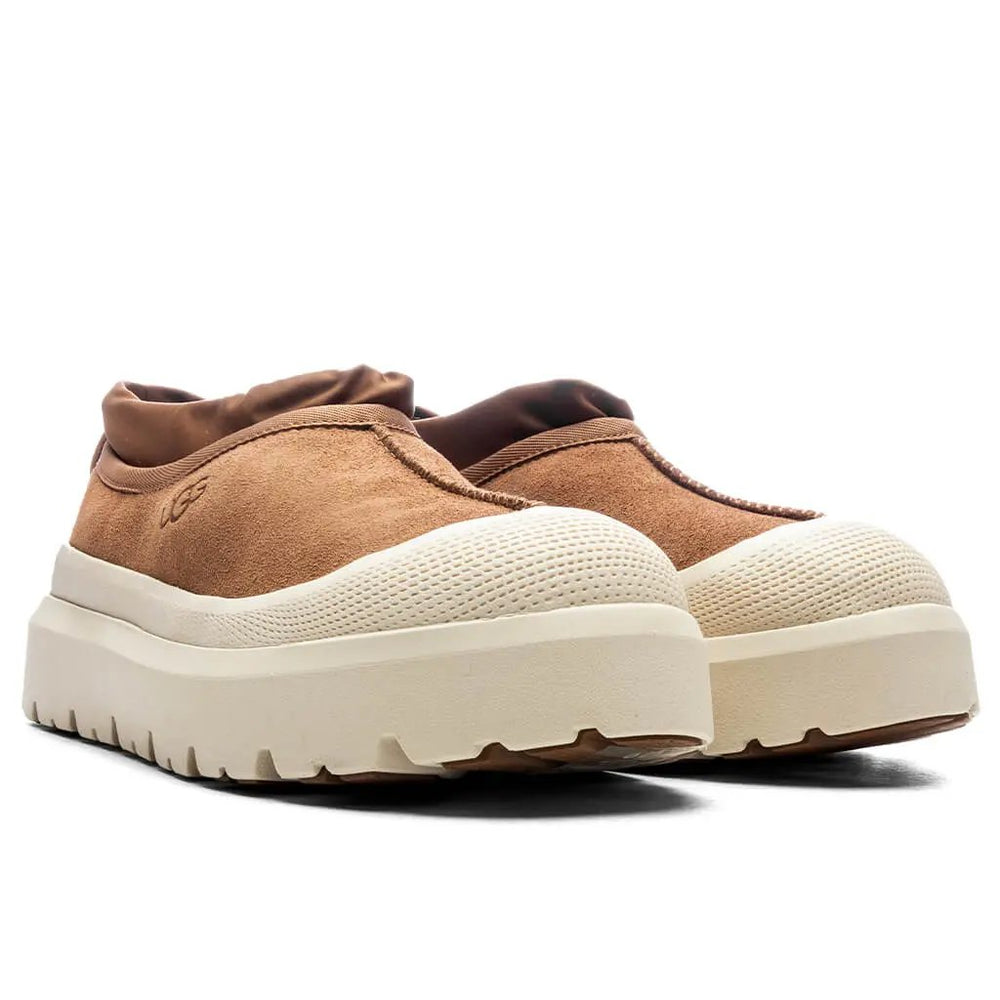 Men's Tasman Weather Hybrid - Chestnut/Whitecap Tektoty