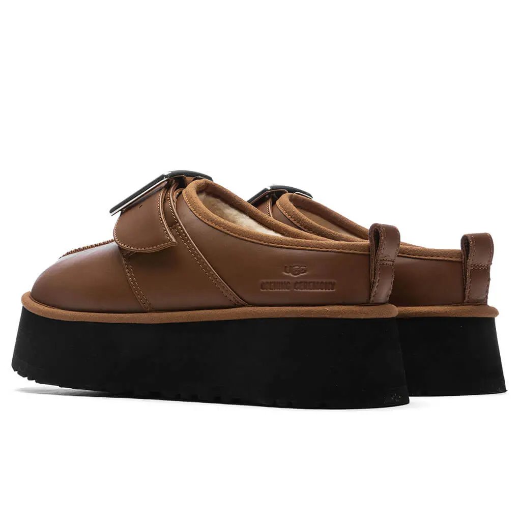 Opening Ceremony Women's Tasman - Chestnut Tektoty