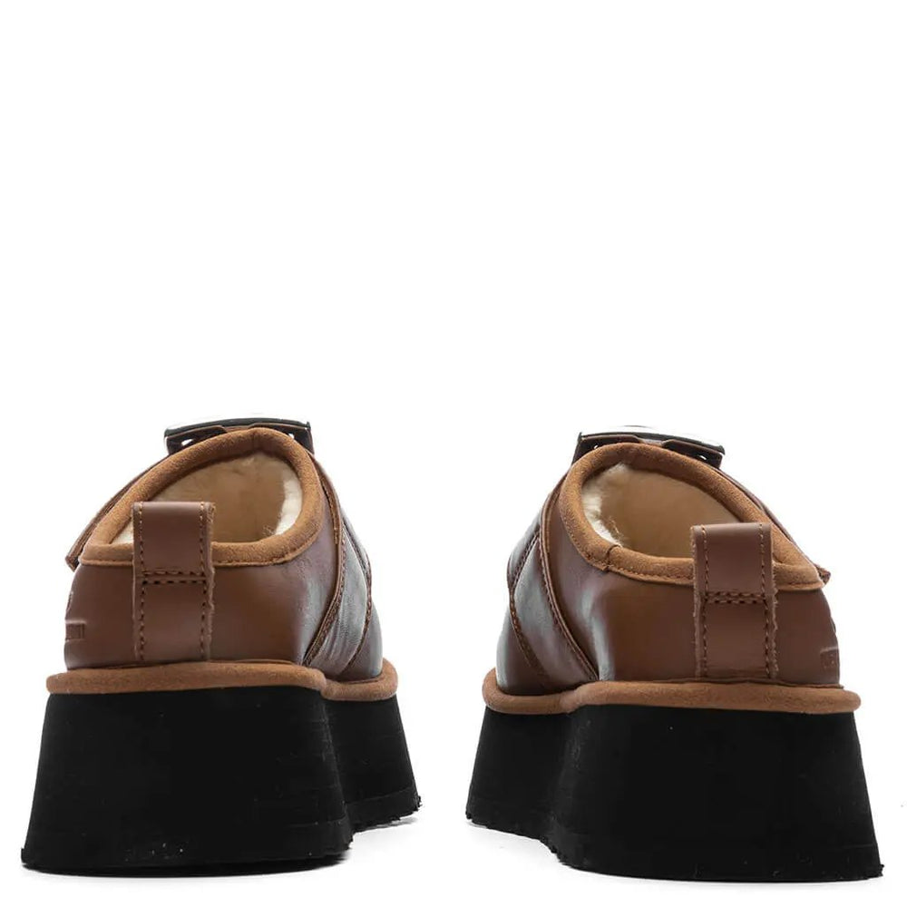 Opening Ceremony Women's Tasman - Chestnut Tektoty