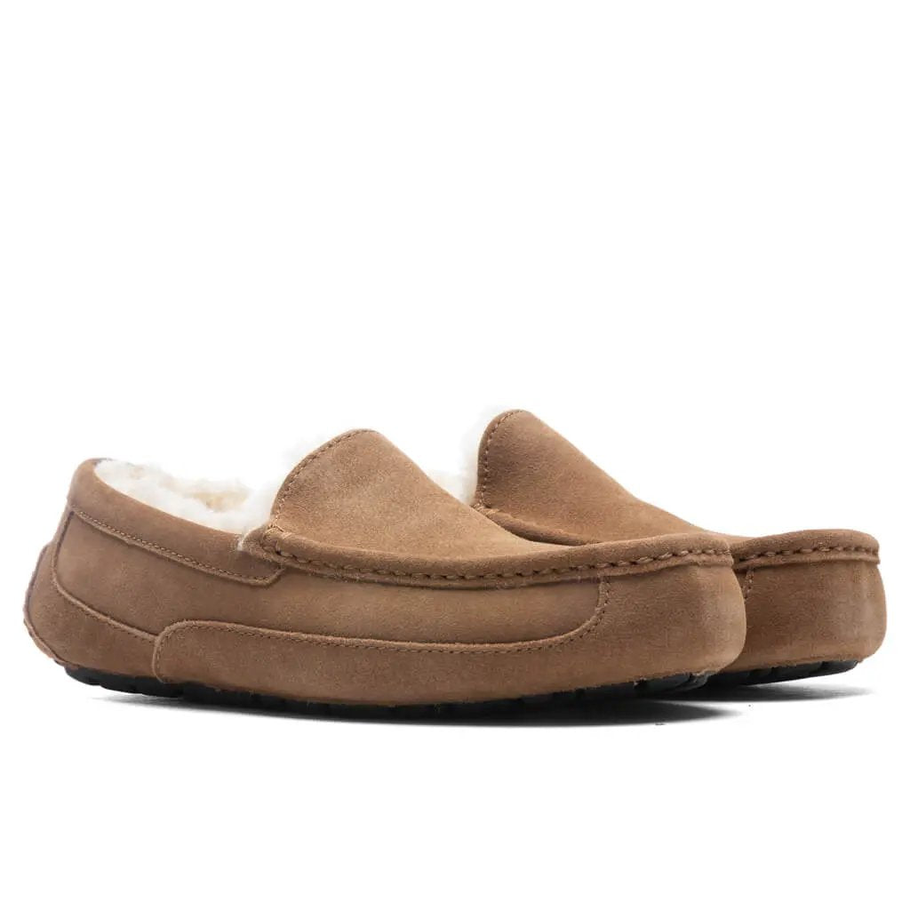 Ascot Slipper - Chestnut Tektoty