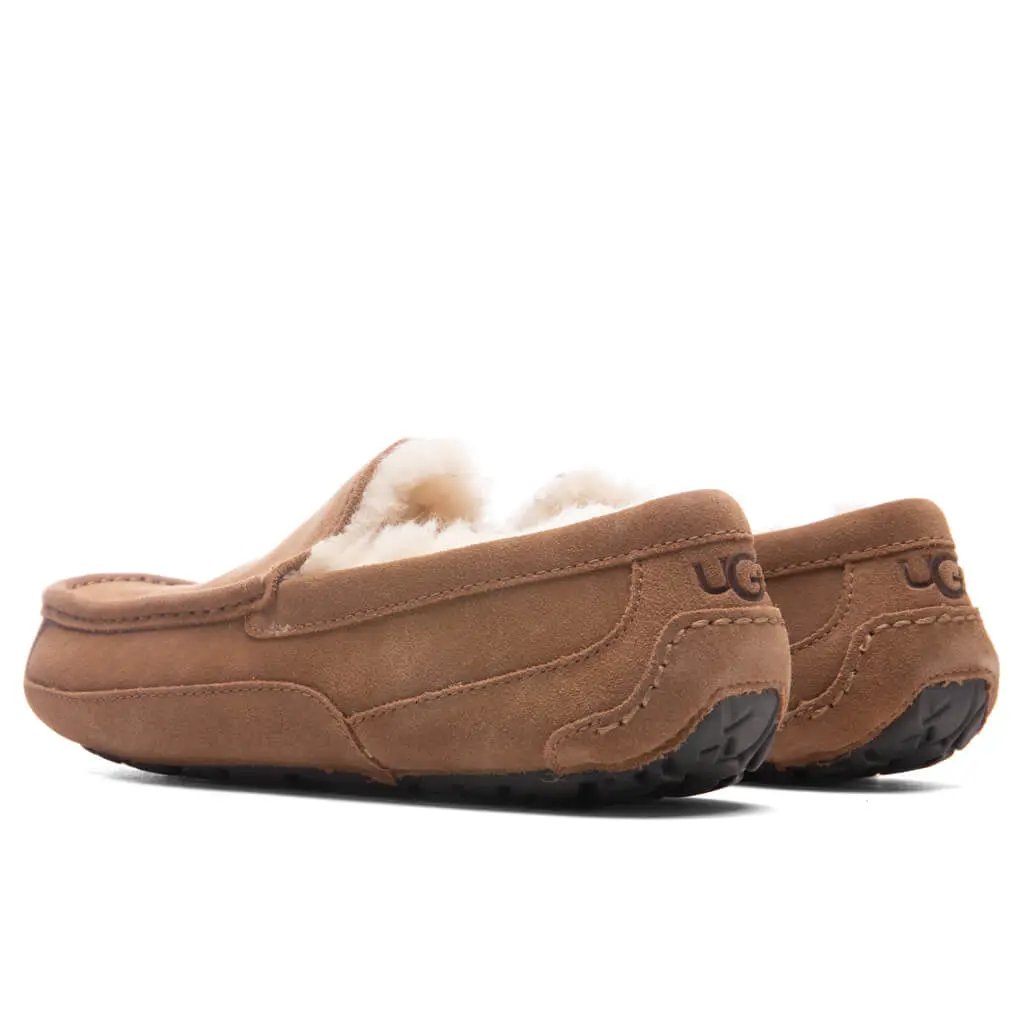 Ascot Slipper - Chestnut Tektoty