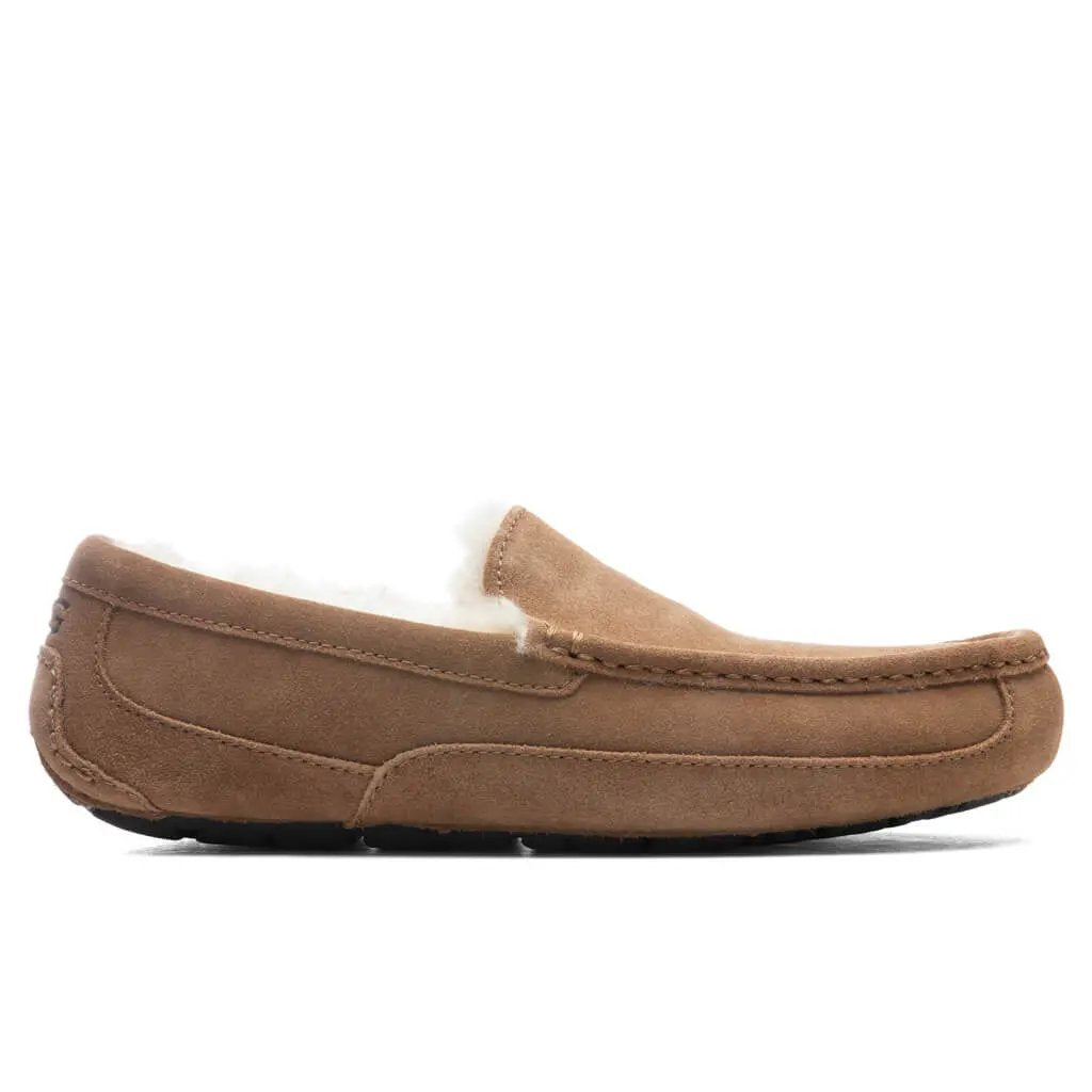Ascot Slipper - Chestnut Tektoty
