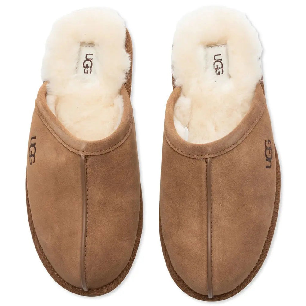 Scuff - Chestnut Tektoty