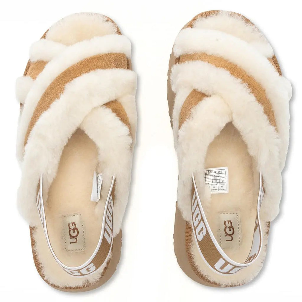 Women's Disco Cross Slide - Chestnut Tektoty