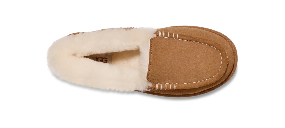 Ugg Ansley Parc Chestnut Women's Tektoty