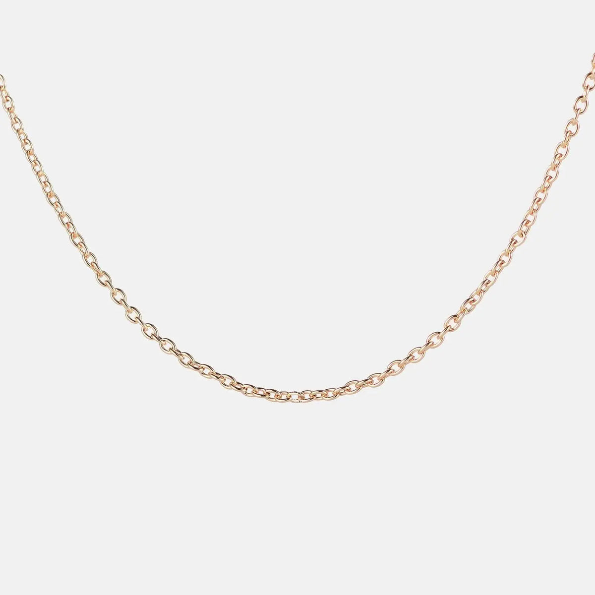 Dainty Chain Tektoty
