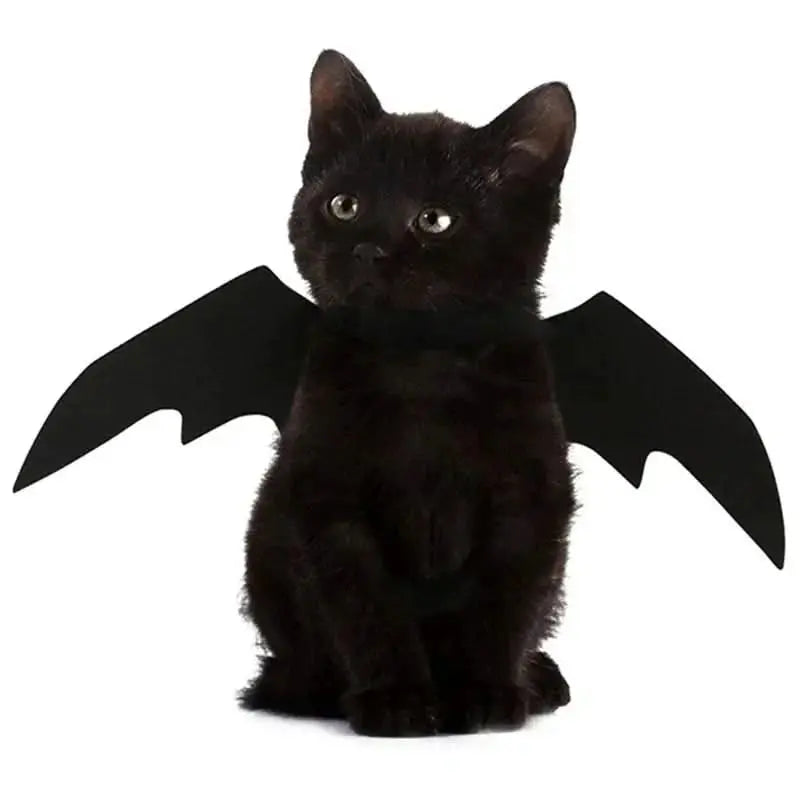 Bat Wings Pet Costume Tektoty