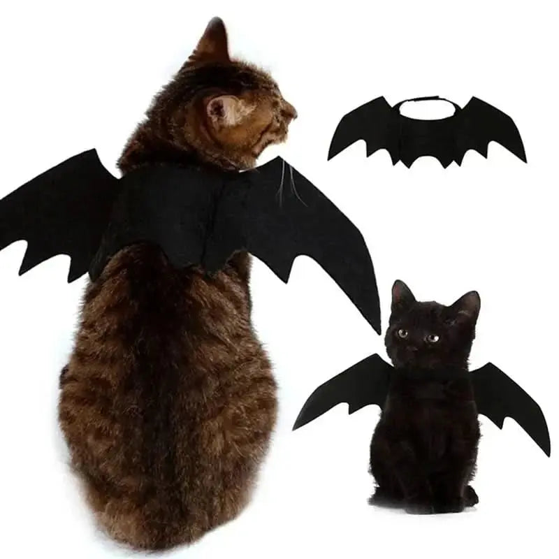 Bat Wings Pet Costume Tektoty