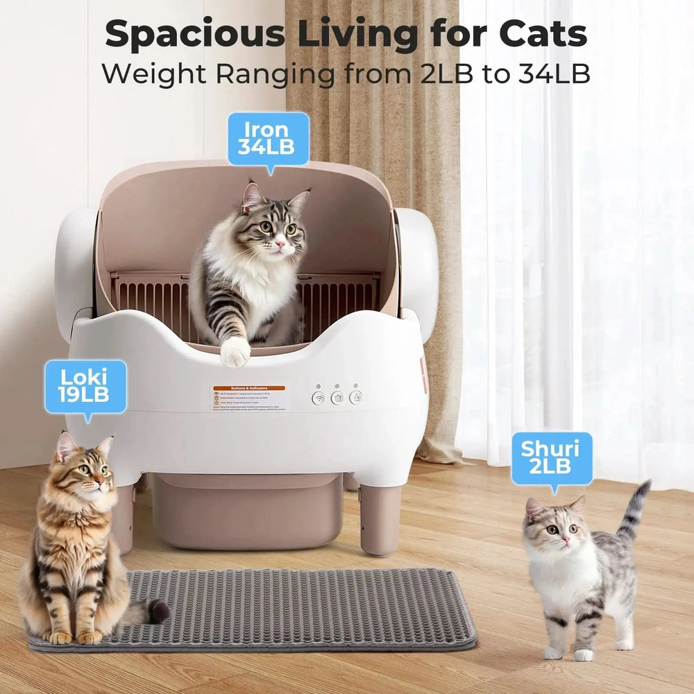 Smart Self-Cleaning Cat Litter Box with App Control – Automatic Odor-Free Litter Solution for Multiple Cats Tektoty