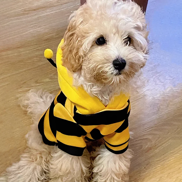 Furry Friend Costume Fun