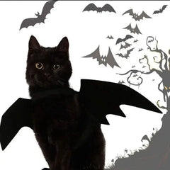 Bat Wings Pet Costume Tektoty