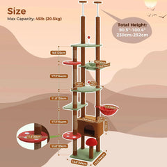 Ultimate Cat Paradise Tower Tektoty