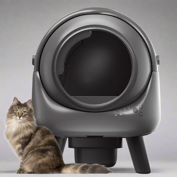 Smart Litter Box for Cats