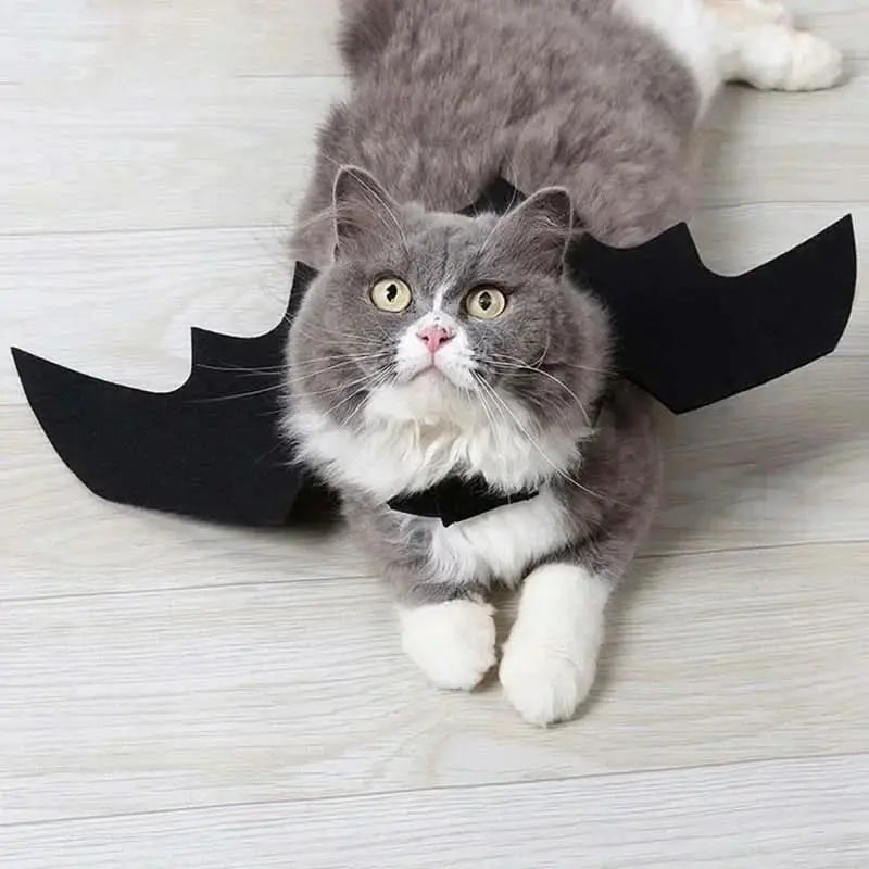 Bat Wings Pet Costume Tektoty
