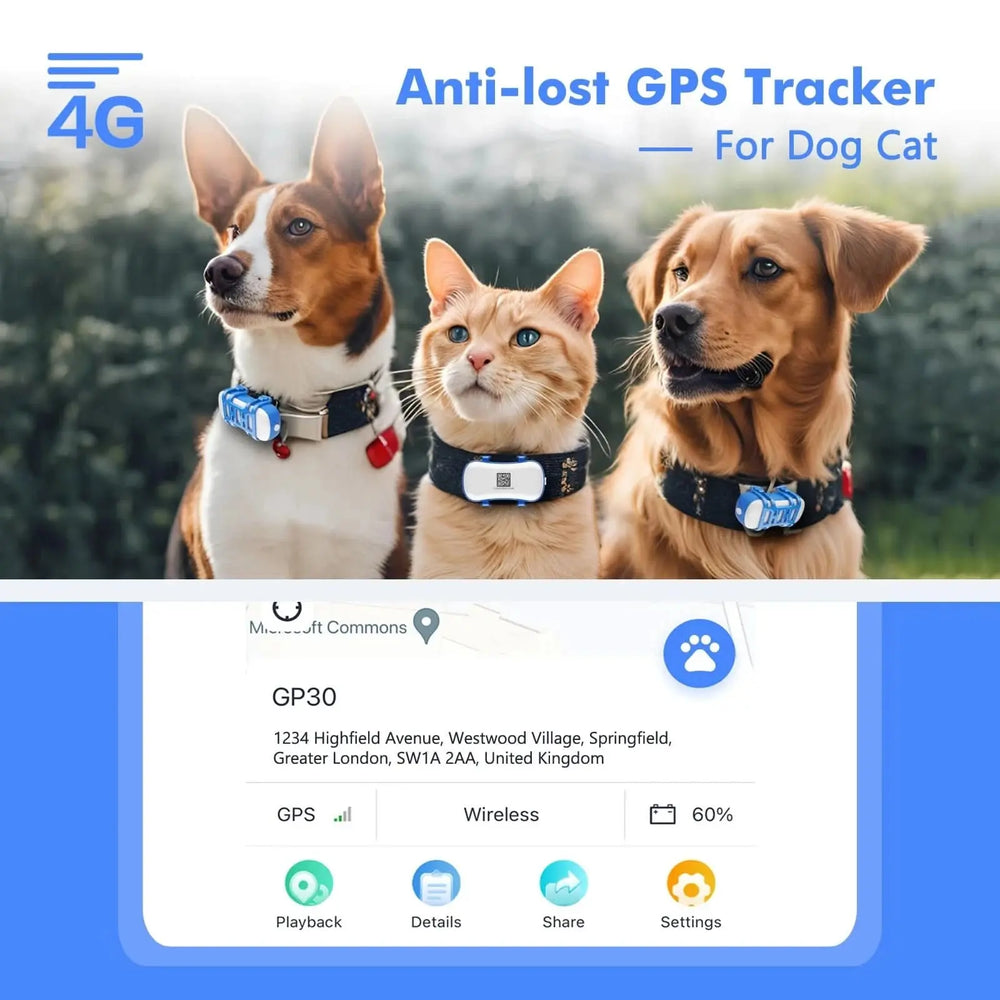 Smart Pet Tracker with App Tektoty