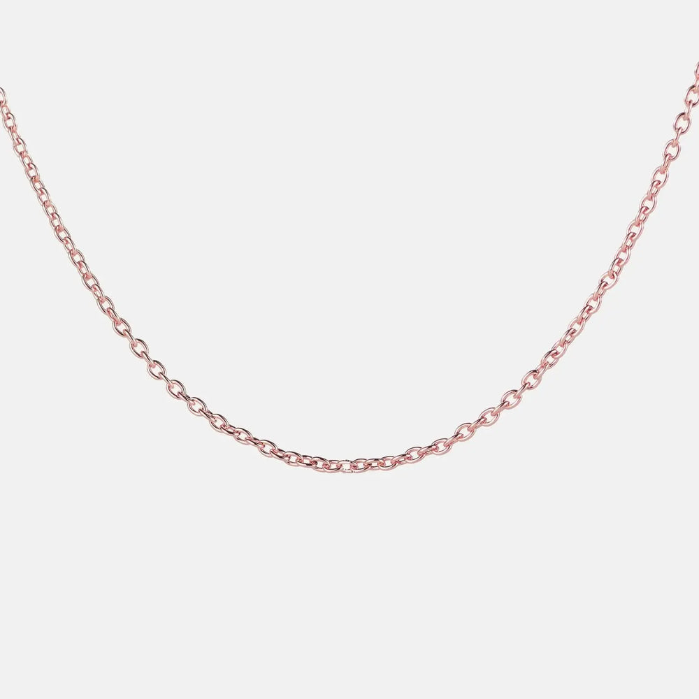 Dainty Chain Tektoty