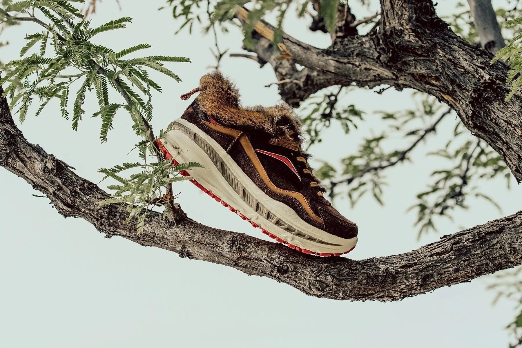 UGG x 12x12 CA805 x Bears - Brown Tektoty